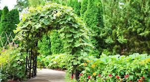 Een kleine tuin opfleuren