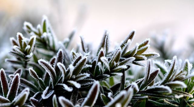 De mooiste wintertuinen