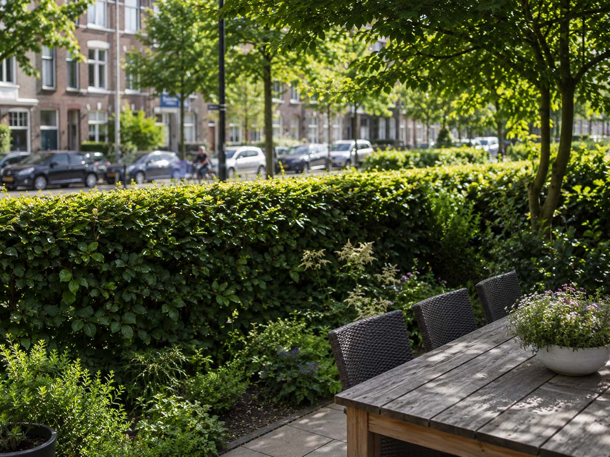 Terras met privacy door een volle groene haag