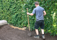 Planten van kant en klaar hagen Planten van kant en klaar hagen